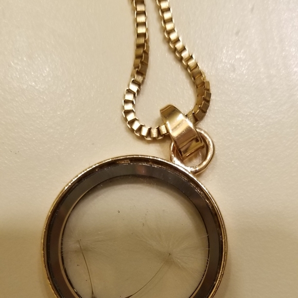 Necklace/Charm with dandelions inside - Picture 2 of 5